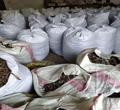 松圖在線(xiàn)商家(圖)-蚯蚓收購(gòu)公司-臨沂蚯蚓收購(gòu)