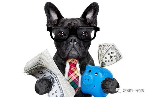 美國(guó)寵物食品市場(chǎng)持續(xù)增長(zhǎng) 人類(lèi)食品公司跨界寵物食品領(lǐng)域